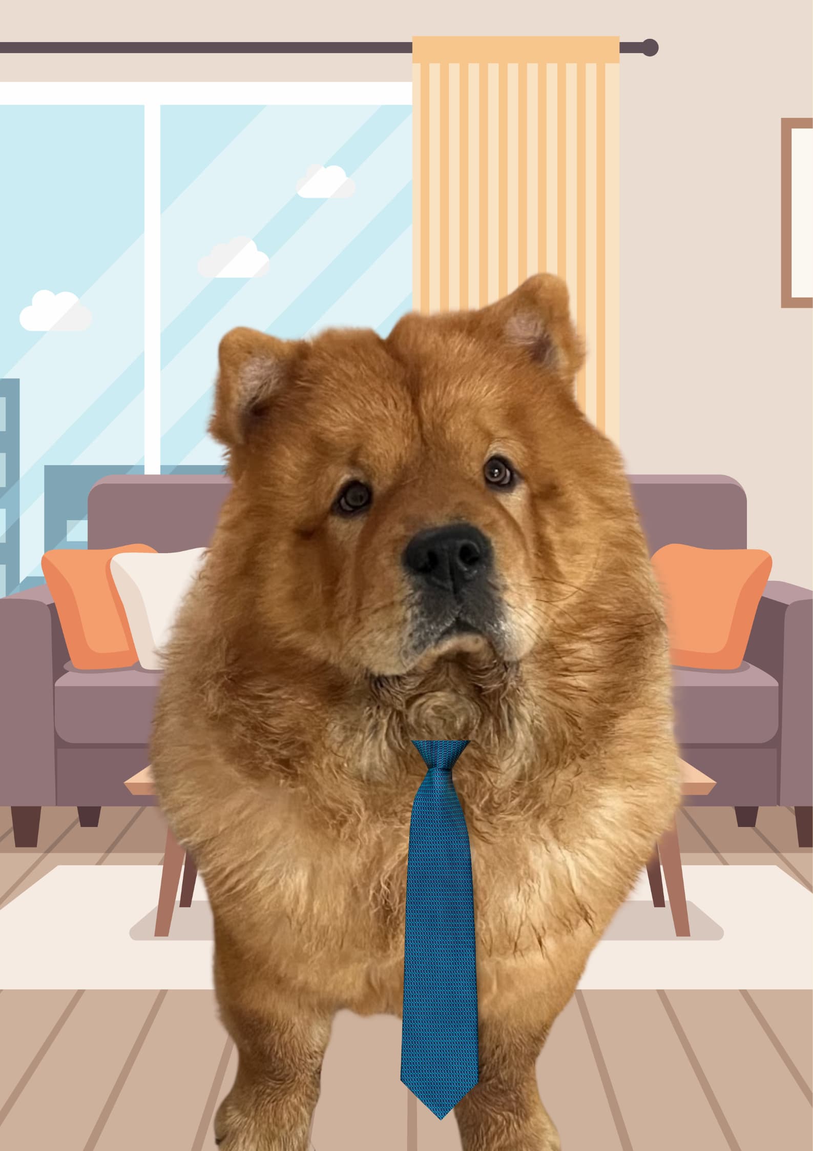 Bucky, the studio chow chow